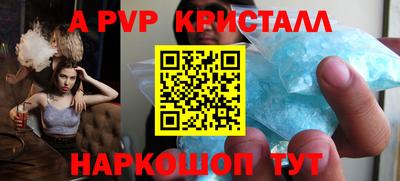 стаф Кингисепп