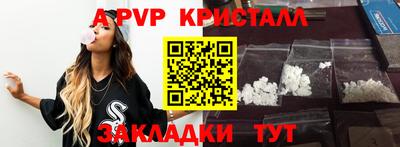 стаф Кингисепп