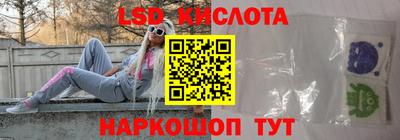 стаф Кингисепп