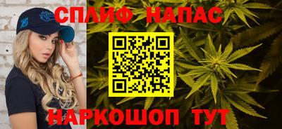 стаф Кингисепп