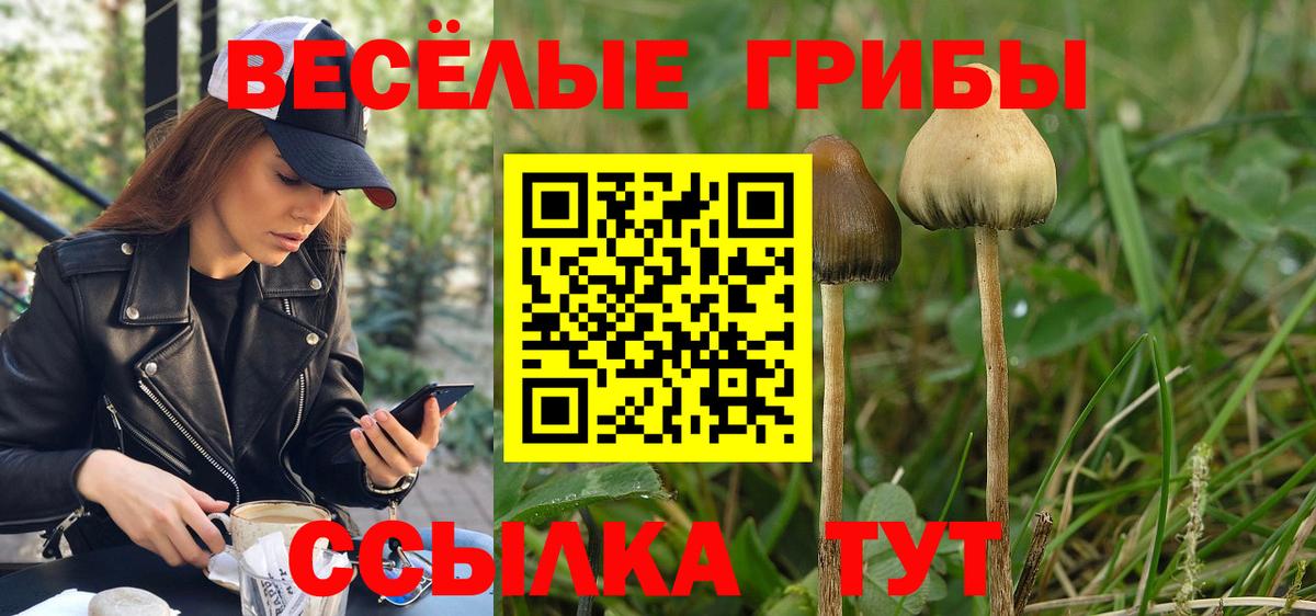 Псилоцибиновые грибы Magic Shrooms Коммунар