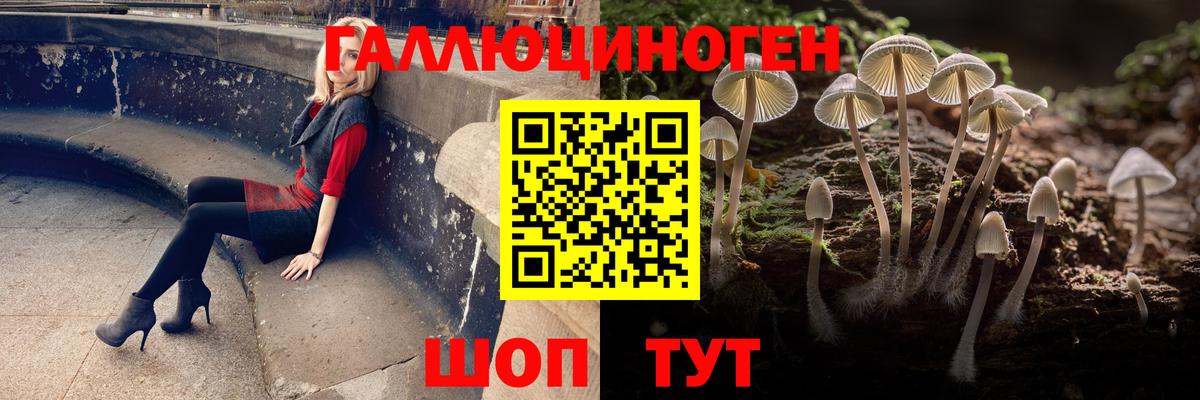 как найти закладки  Вход с VPN  Коммунар  Псилоцибиновые грибы мухоморы 